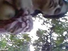 Amateur Indian Slut Gets Fucked Outddoors