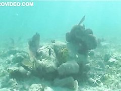 Breathtaking Brunette Supermodel Katie Cleary Scuba Diving In Bikini